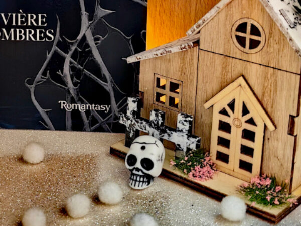 La Rivière des ombres – Avis +