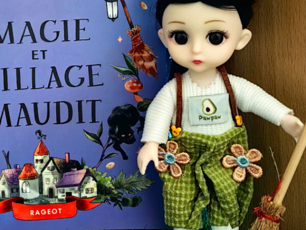 Brins de magie et village maudit – Avis +