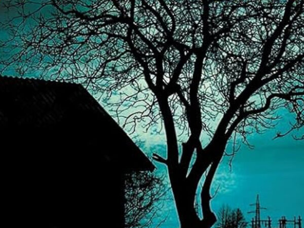 Psychoses – Avis +/-