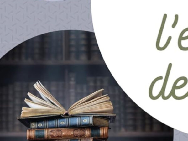 Le Grand livre de l’écriture fiction – Avis +