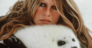image de l'actrice brigitte bardot avec un bébé phoque