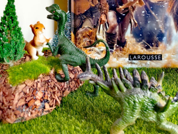 Si la préhistoire m’était contée – Avis +