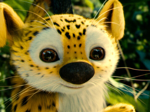 TMC – Sur La Piste du Marsupilami