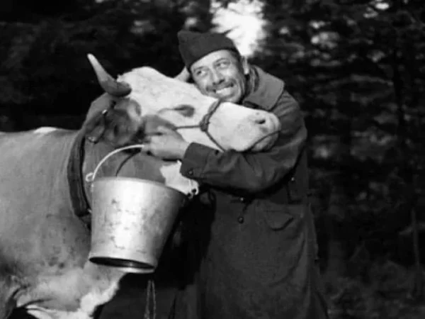 Paris Première – La Vache et le prisonnier