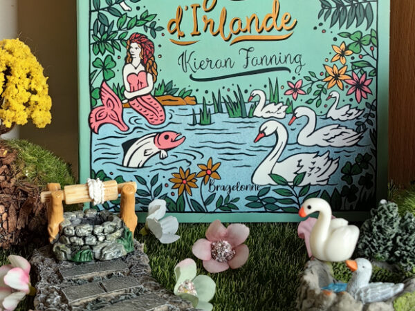 Contes, mythes et légendes d&rsquo;Irlande – Avis +