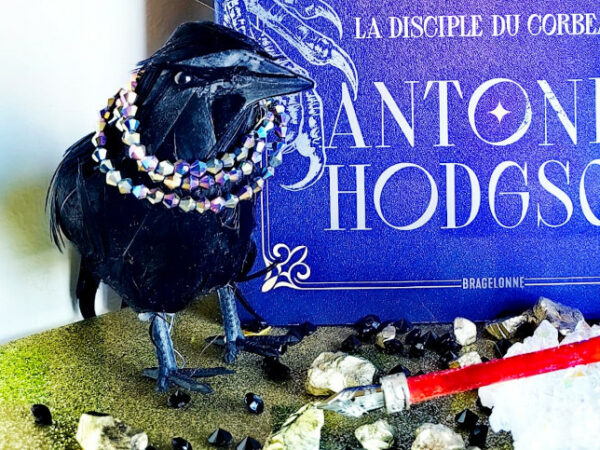 La Disciple du Corbeau – Avis +
