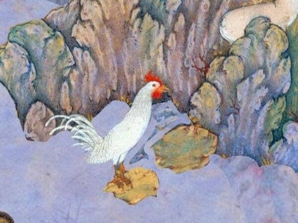 Une saison à Téhéran – Avis +