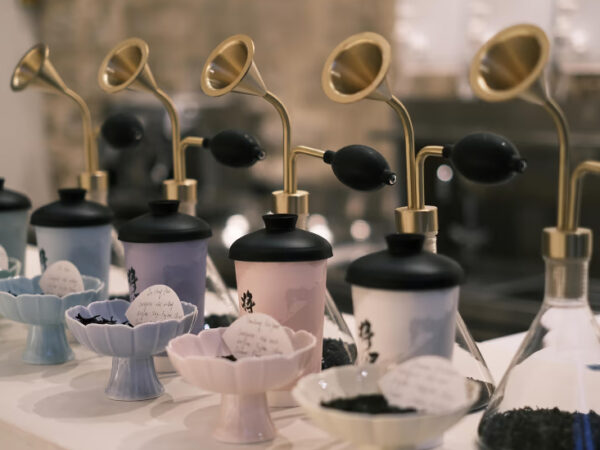 Test : Tea fans – Avis +